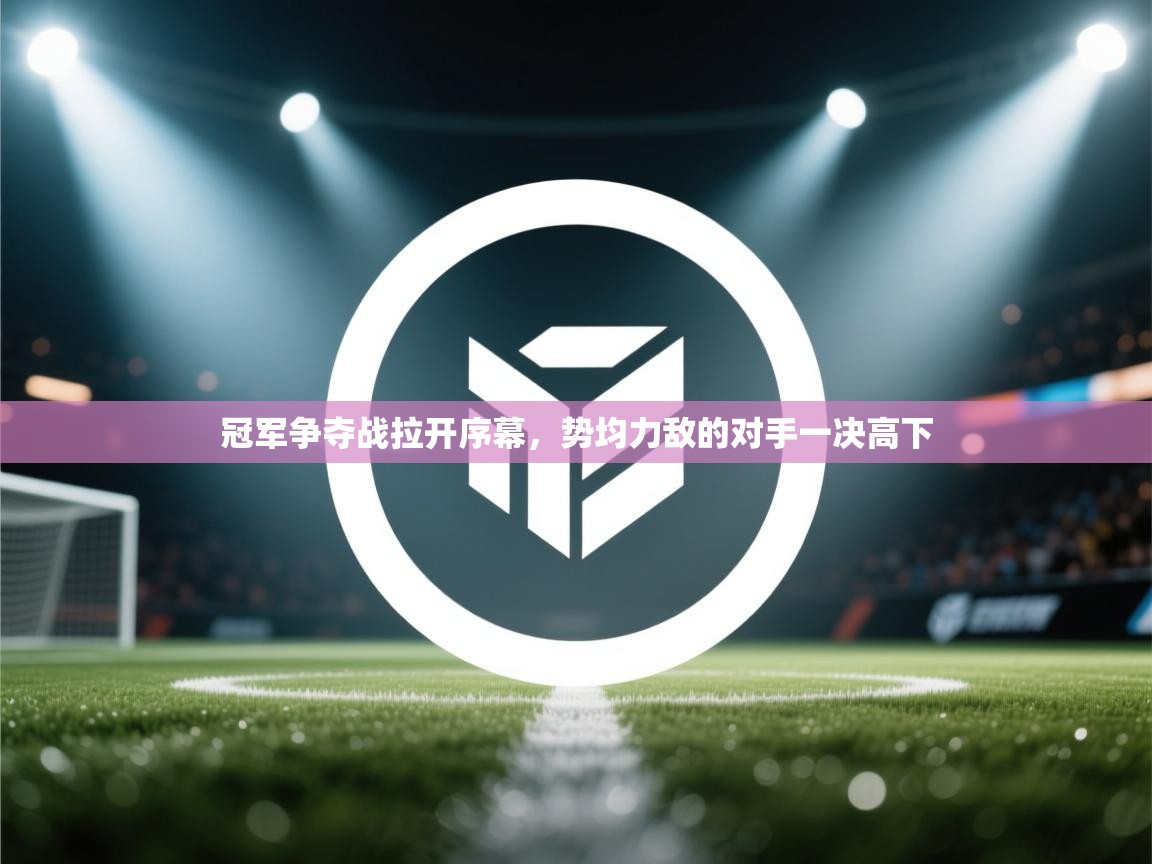 开云体育入口邀请码-冠军争夺战拉开序幕,势均力敌的对手一决高下  第1张