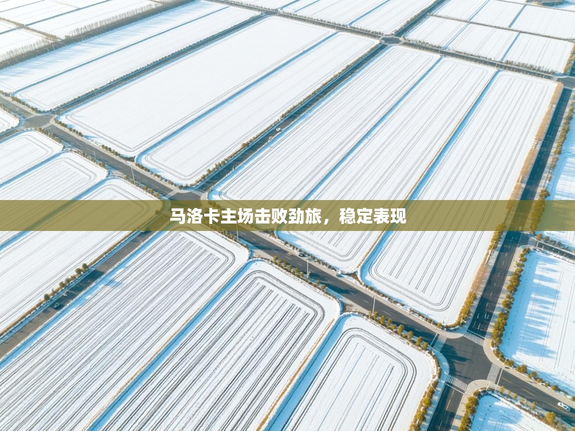 开云平台-马洛卡主场击败劲旅，稳定表现  第2张