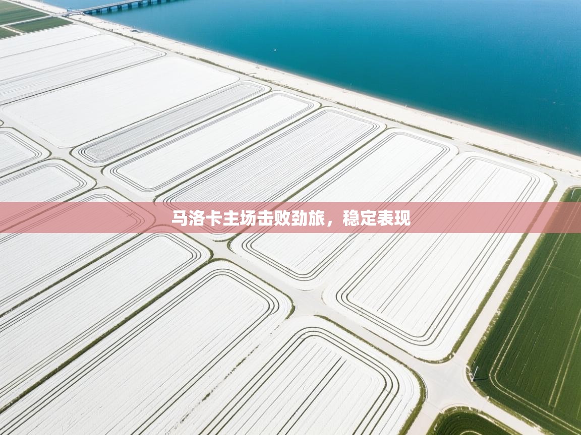 开云平台-马洛卡主场击败劲旅，稳定表现  第3张