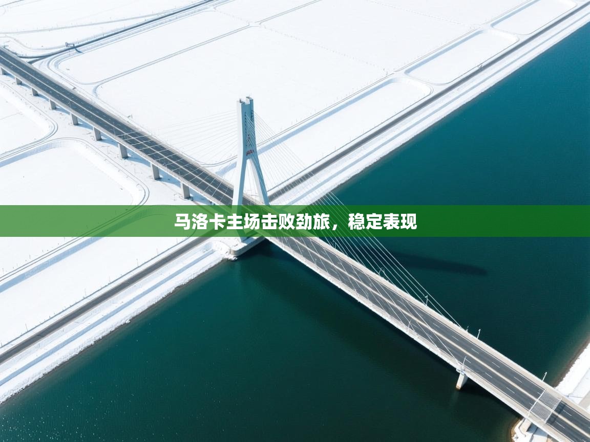 开云平台-马洛卡主场击败劲旅，稳定表现  第4张