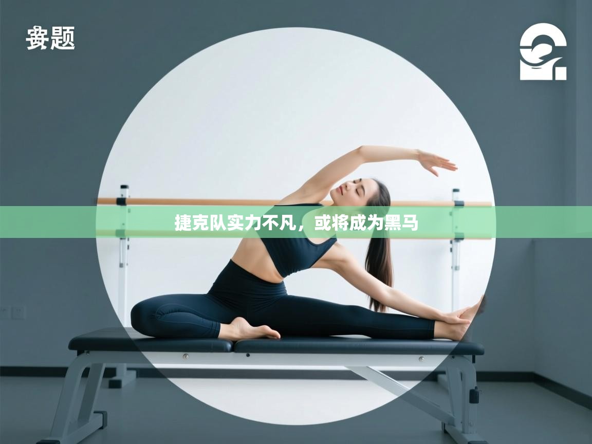 云开体育官网入口-捷克队实力不凡，或将成为黑马  第1张