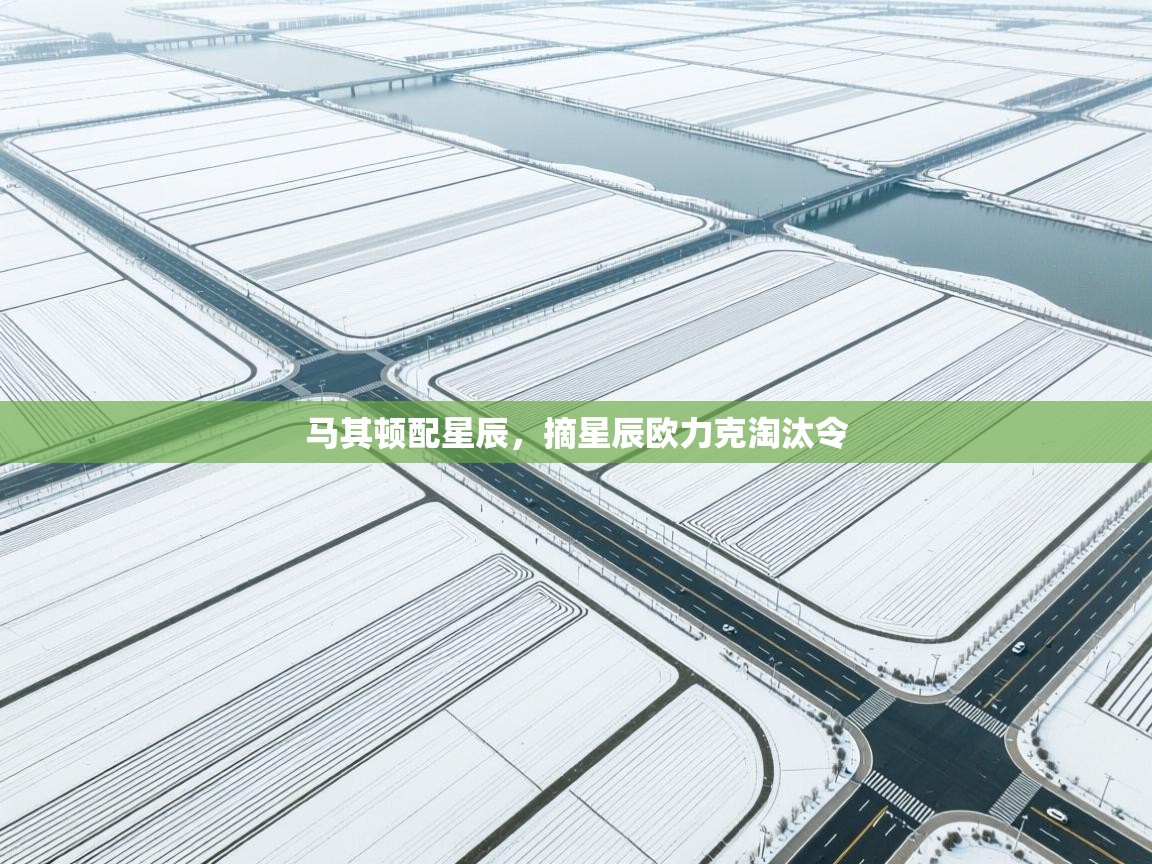 开云·体育app中国官方网站-马其顿配星辰,摘星辰欧力克淘汰令 第2张