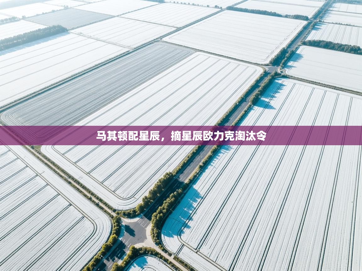 开云·体育app中国官方网站-马其顿配星辰,摘星辰欧力克淘汰令 第3张