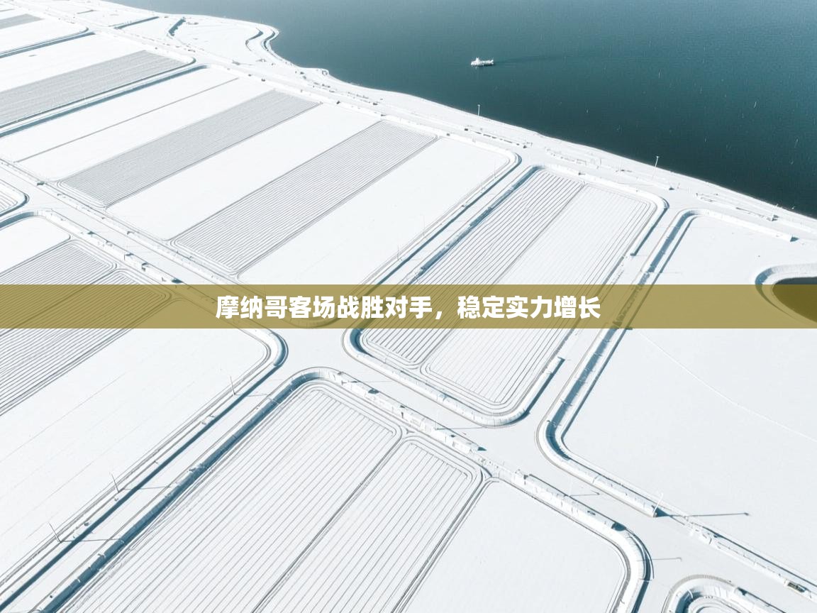 云开官网-摩纳哥客场战胜对手,稳定实力增长 第1张