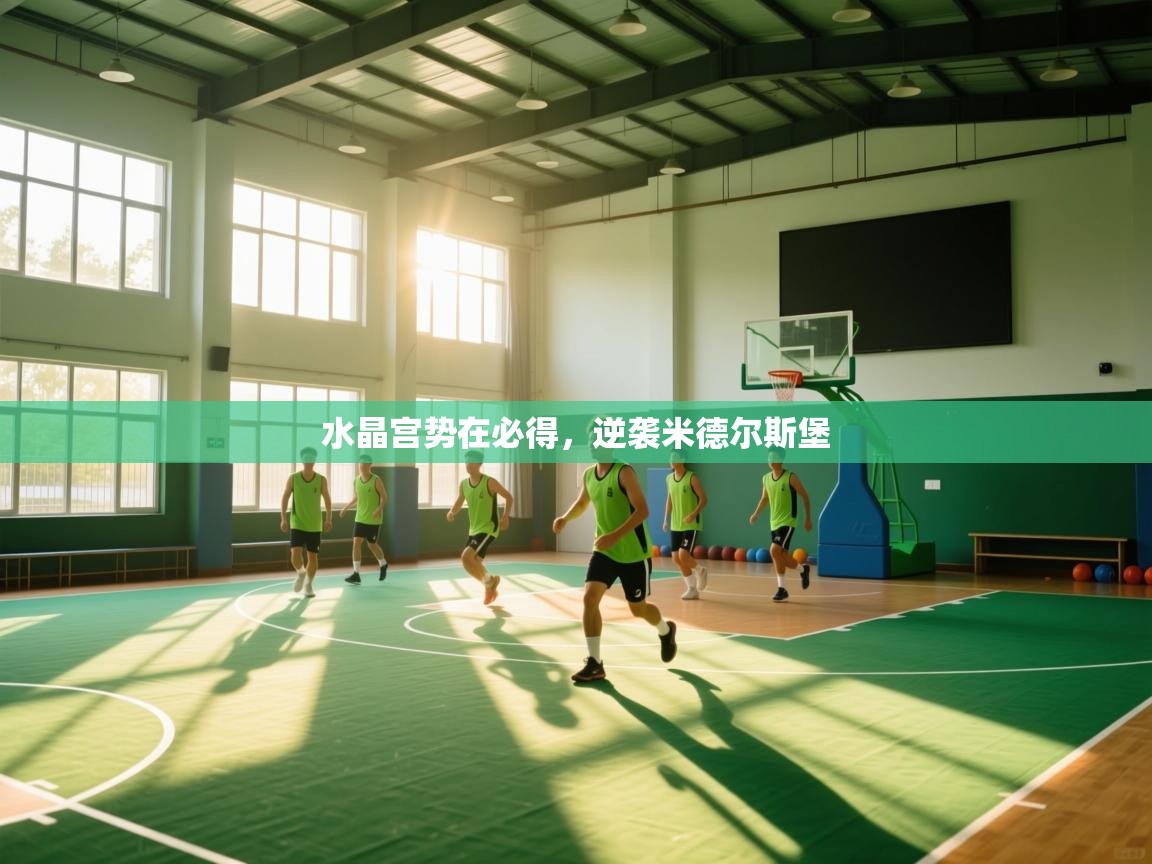 开云体育在线玩-水晶宫势在必得，逆袭米德尔斯堡  第1张