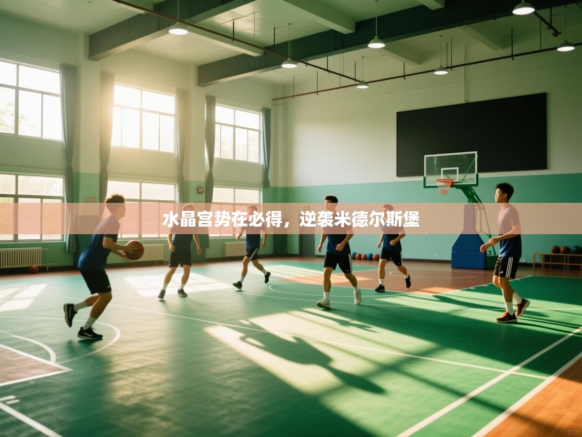 开云体育在线玩-水晶宫势在必得，逆袭米德尔斯堡  第2张