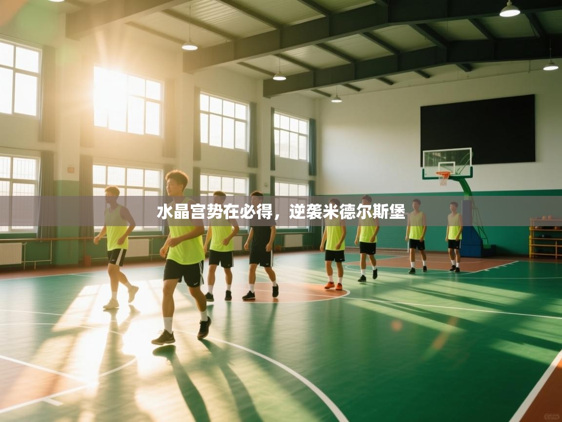 开云体育在线玩-水晶宫势在必得，逆袭米德尔斯堡  第3张