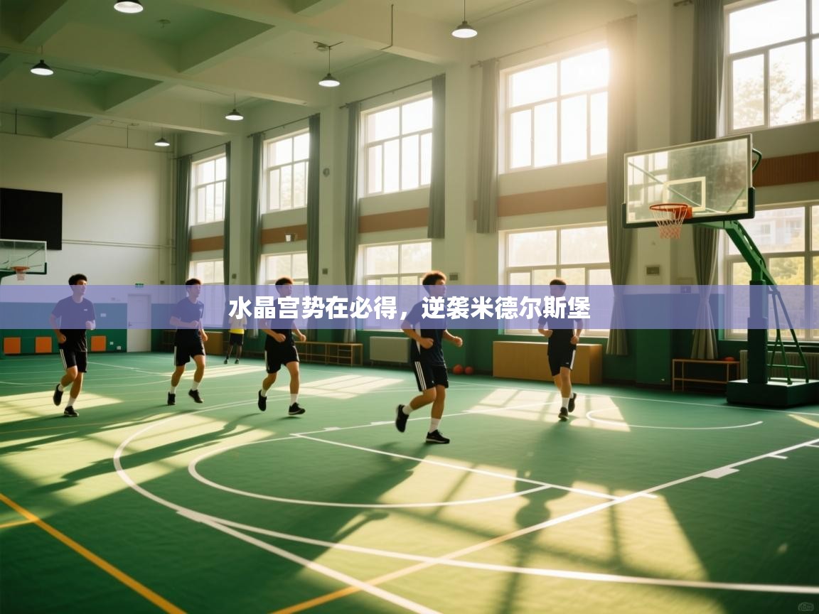 开云体育在线玩-水晶宫势在必得，逆袭米德尔斯堡  第4张